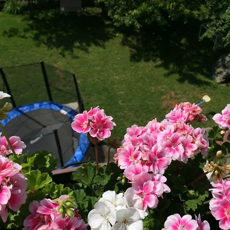 Apartament Spacious Sea View With Garden In *